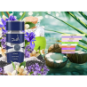 Lattafa Asad Zanzibar Perfume Árabe Unisex - Fragancia Tropical y Fresca de Verano, 100ml