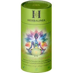 HERBALINEA Pack 7 Tés de Chakras | Infusiones Naturales en Pirámides | Ritual de Bienestar Diario | Sabores Herbales Premium