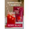 Berry Blast 30 sobres x5 g