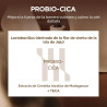 SKIN1004 - SERUM FACIAL MADAGASCAR CENTELLA PROBIO-CICA INTENSIVE AMPOULE